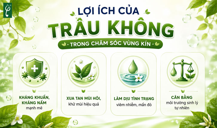 dung dịch vệ sinh trầu không