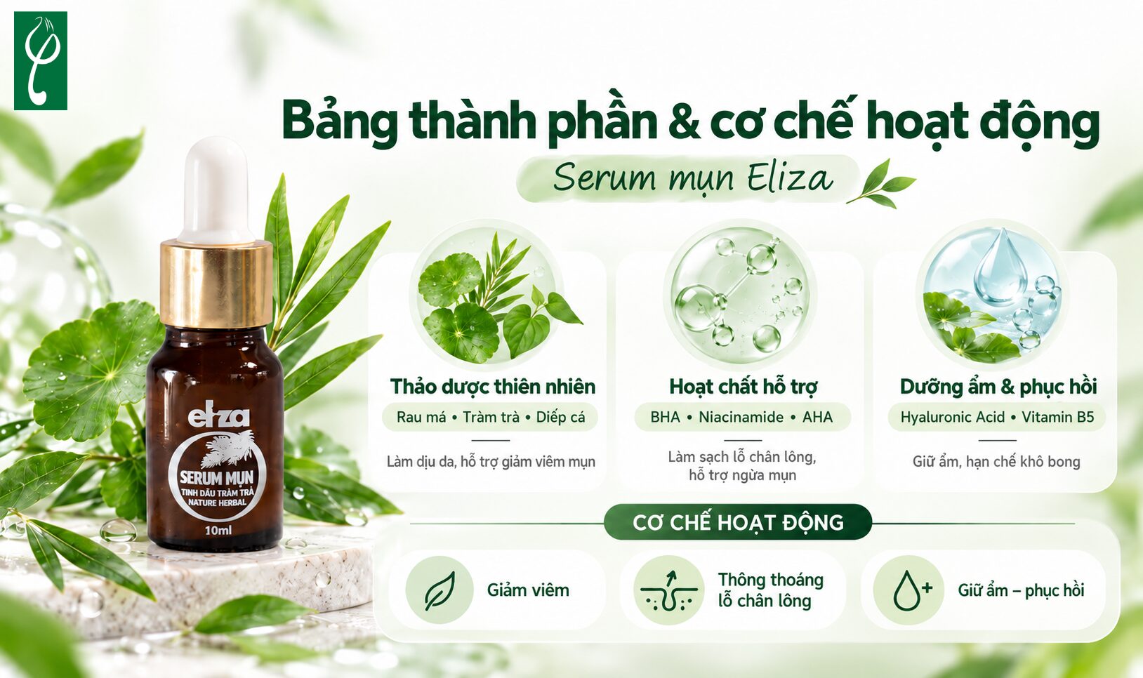 Các thành phần chính trong serum mụn Eliza