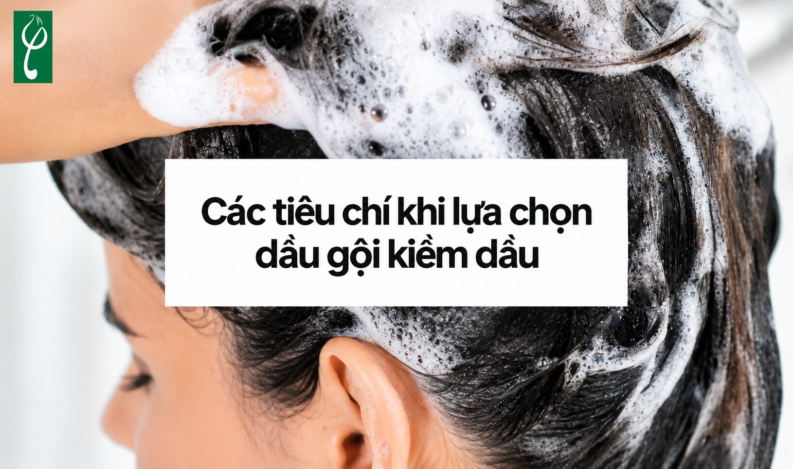 Các tiêu chí khi lựa chọn dầu gội kiềm dầu