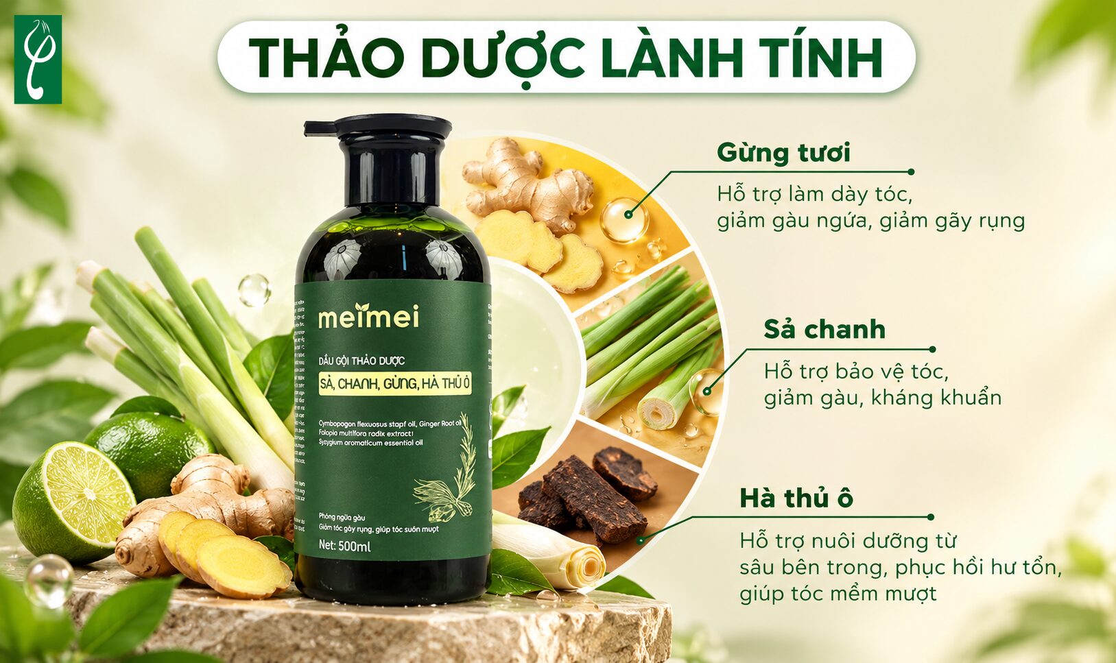 Dầu gội chanh gừng sả là gì?