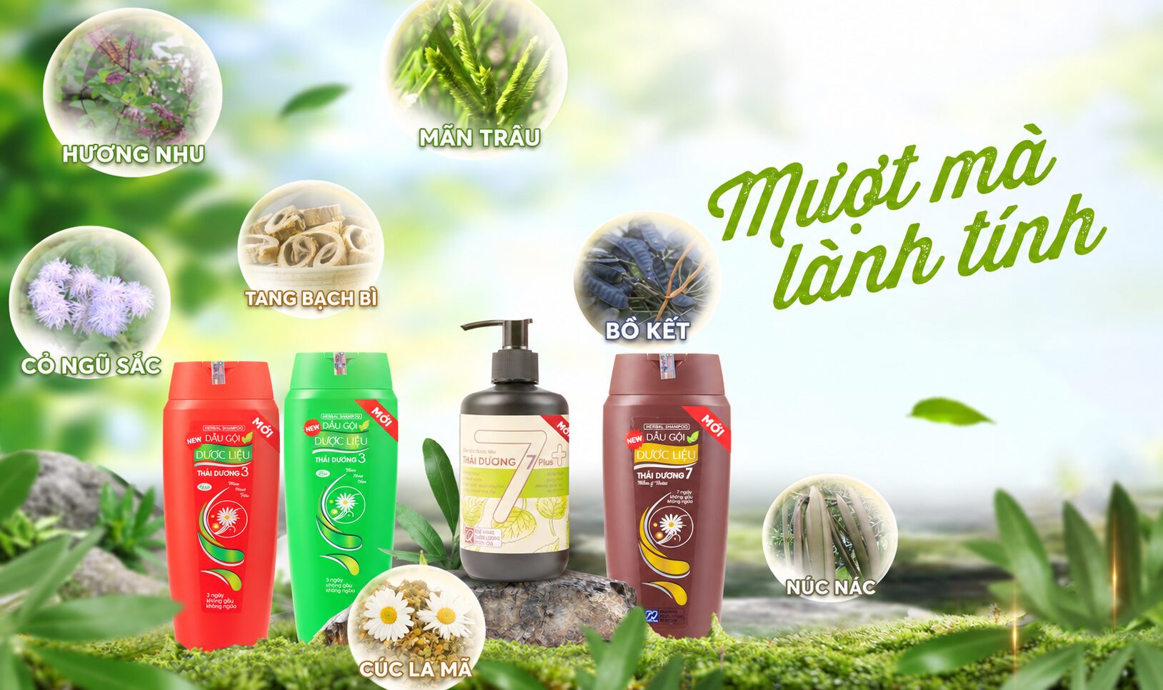 Dầu gội dược liệu Thái Dương