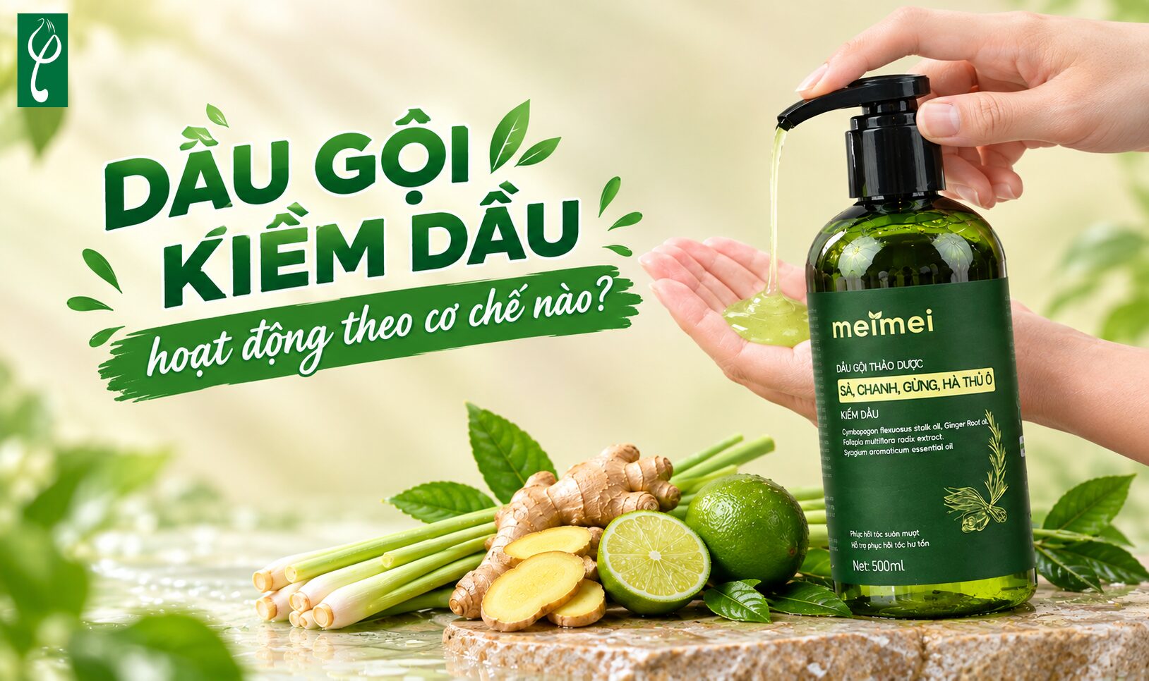Dầu gội kiềm dầu hoạt động theo cơ chế nào?