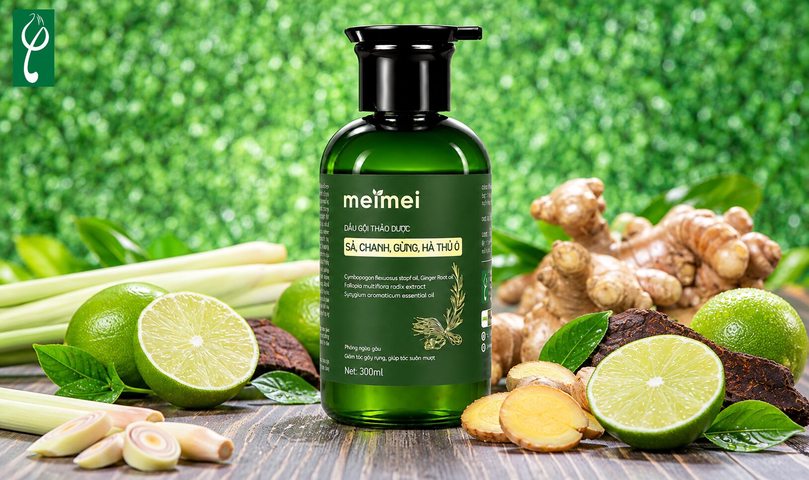 Dầu gội thảo dược Chanh Gừng Mei Mei