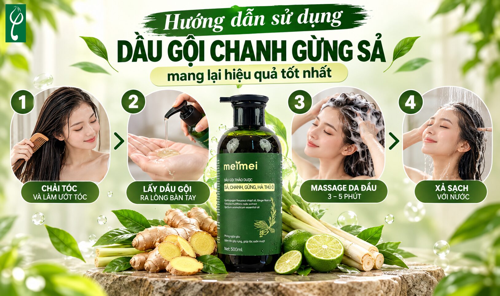 Hướng dẫn sử dụng dầu gội chanh gừng sả mang lại hiệu quả tốt nhất