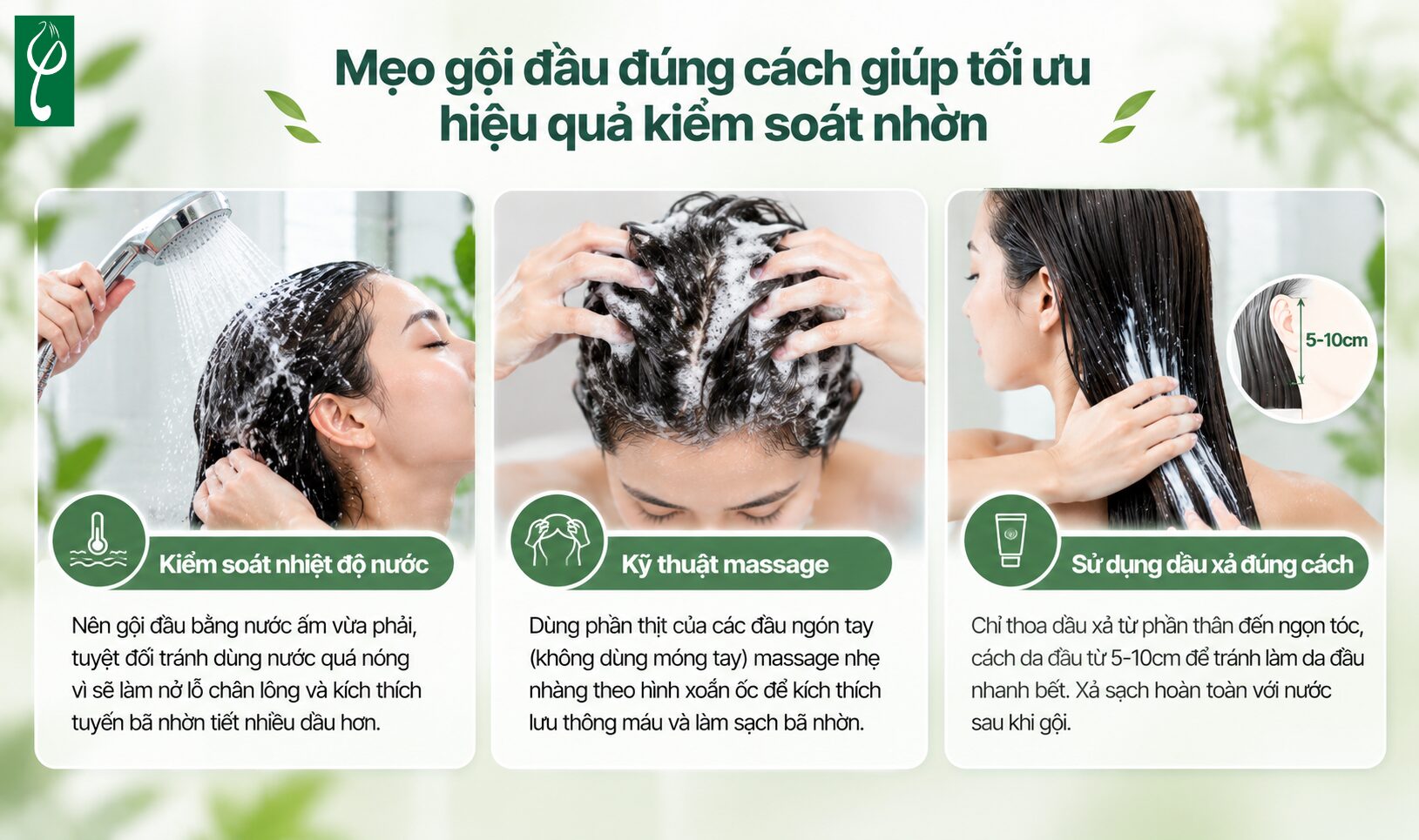 Mẹo gội đầu đúng cách giúp tối ưu hiệu quả kiểm soát nhờn