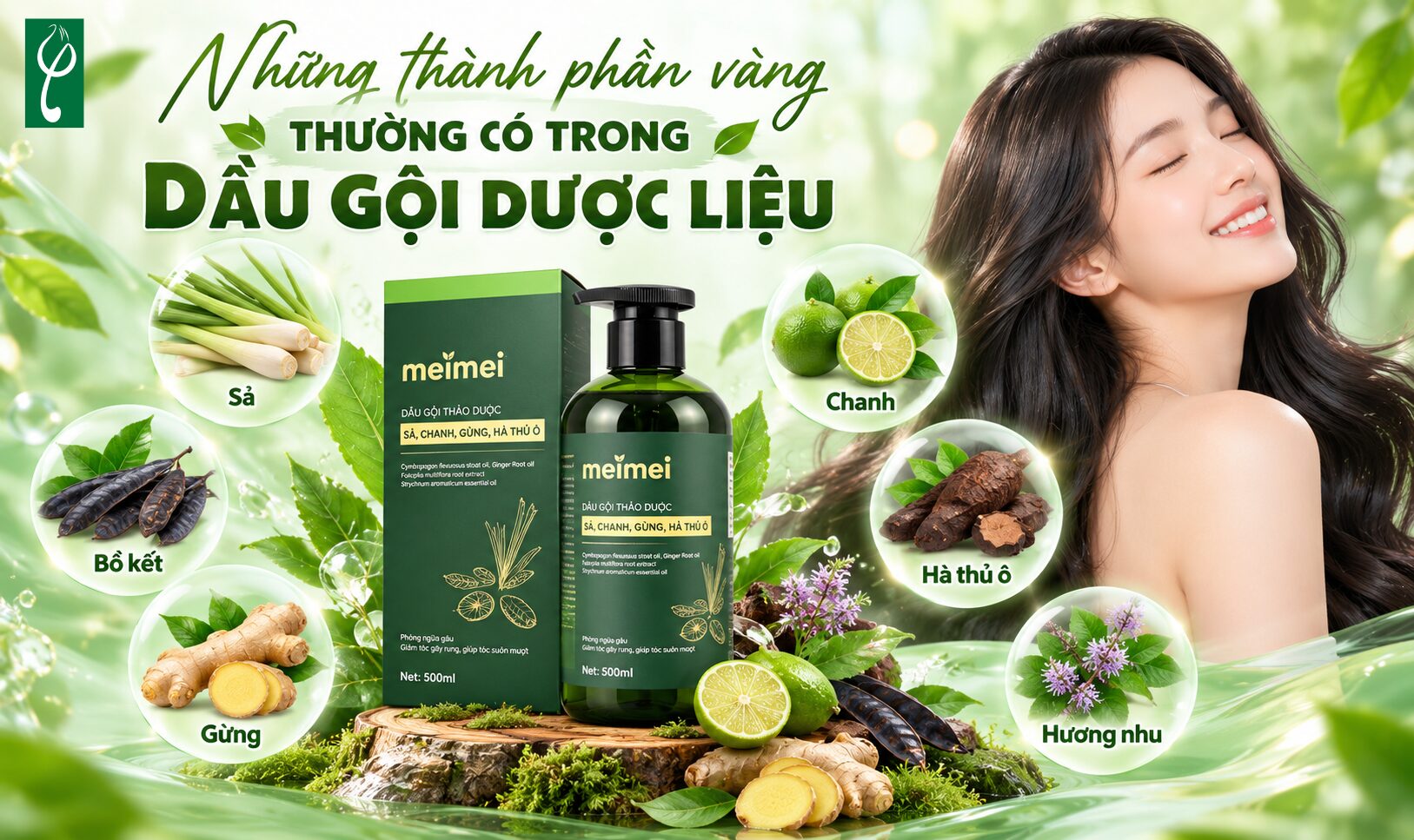 Những thành phần vàng thường có trong dầu gội dược liệu