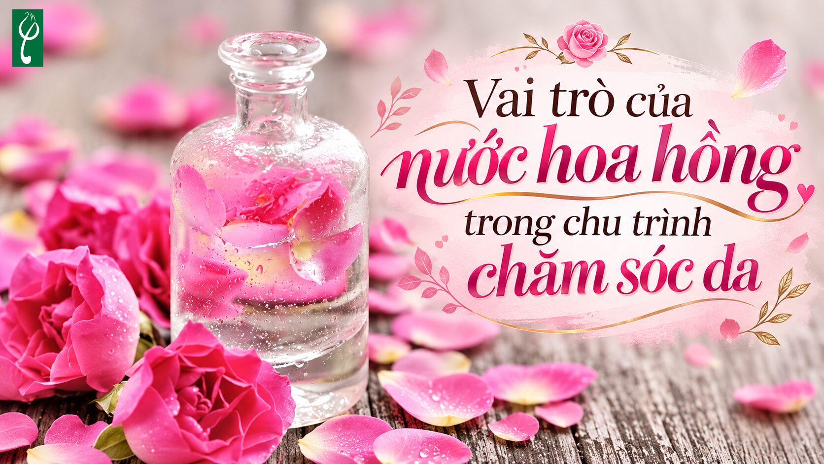 Vai trò của nước hoa hồng trong chu trình chăm sóc da