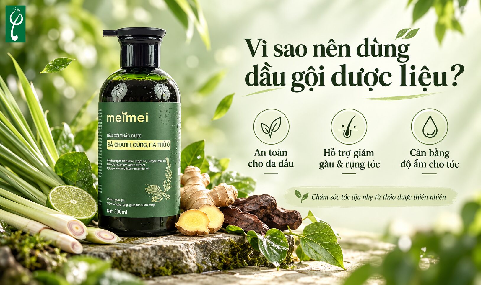 Vì sao nên sử dụng dầu gội dược liệu
