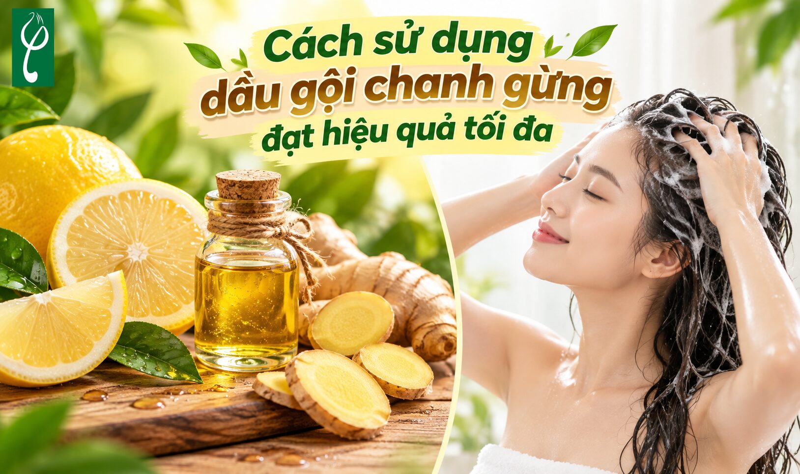 Cách sử dụng dầu gội chanh gừng đạt hiệu quả tối đa
