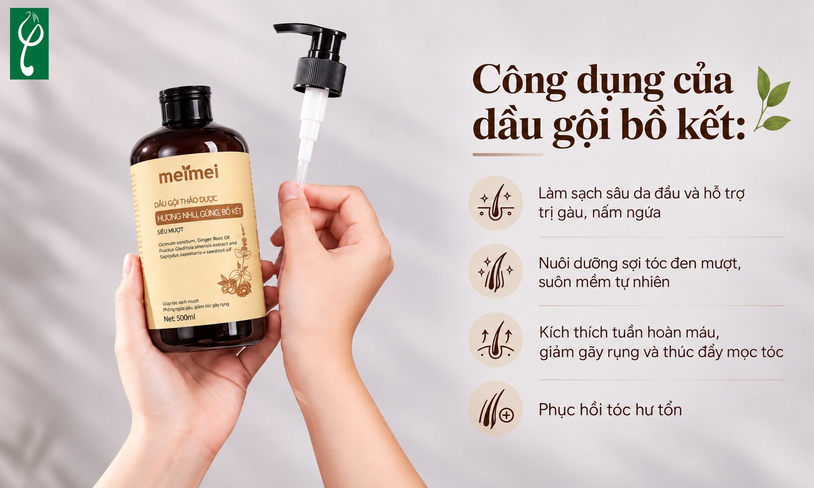 Công dụng của dầu gội bồ kết