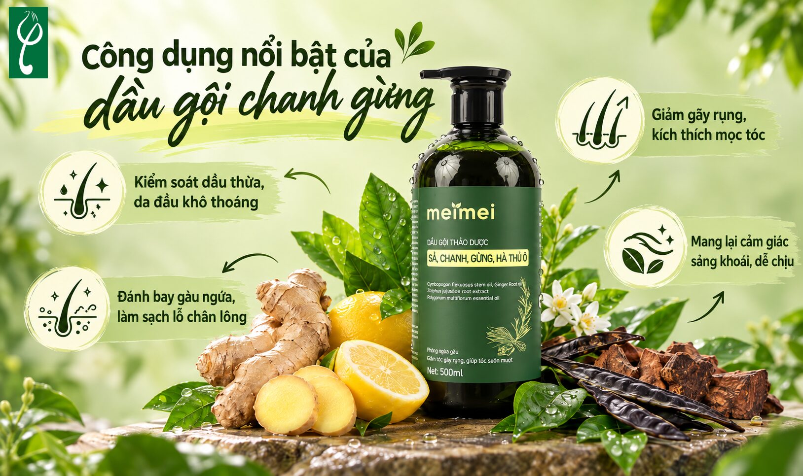 Công dụng nổi bật của dầu gội chanh gừng