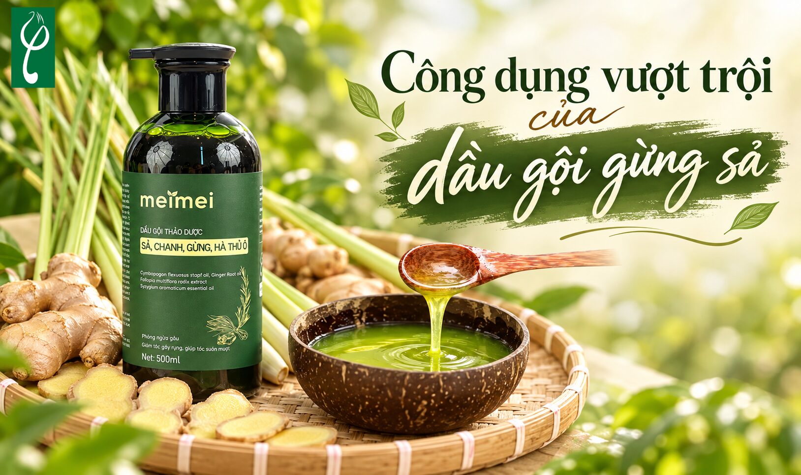Công dụng vượt trội của dầu gội gừng sả