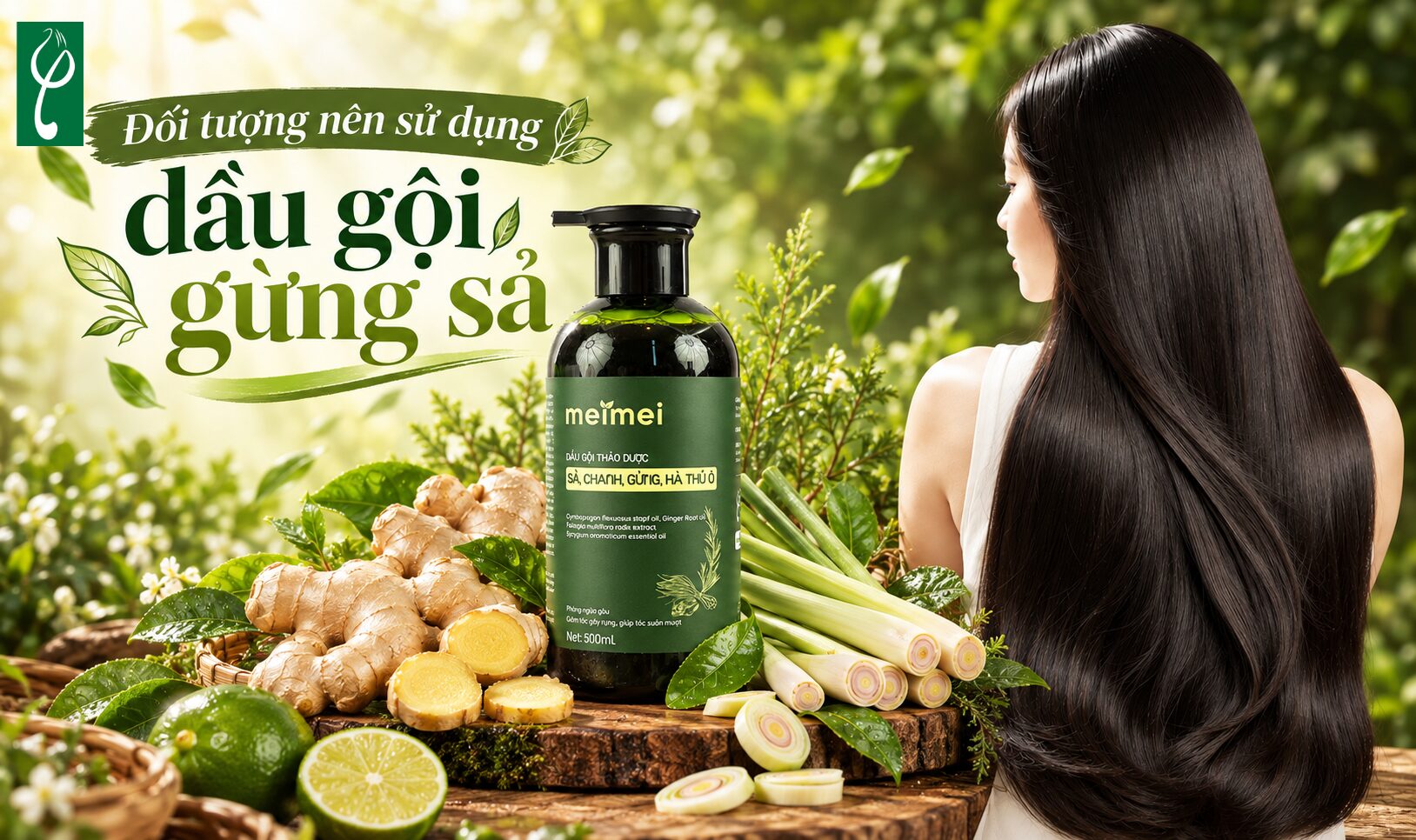 Những ai nên sử dụng dầu gội gừng sả?
