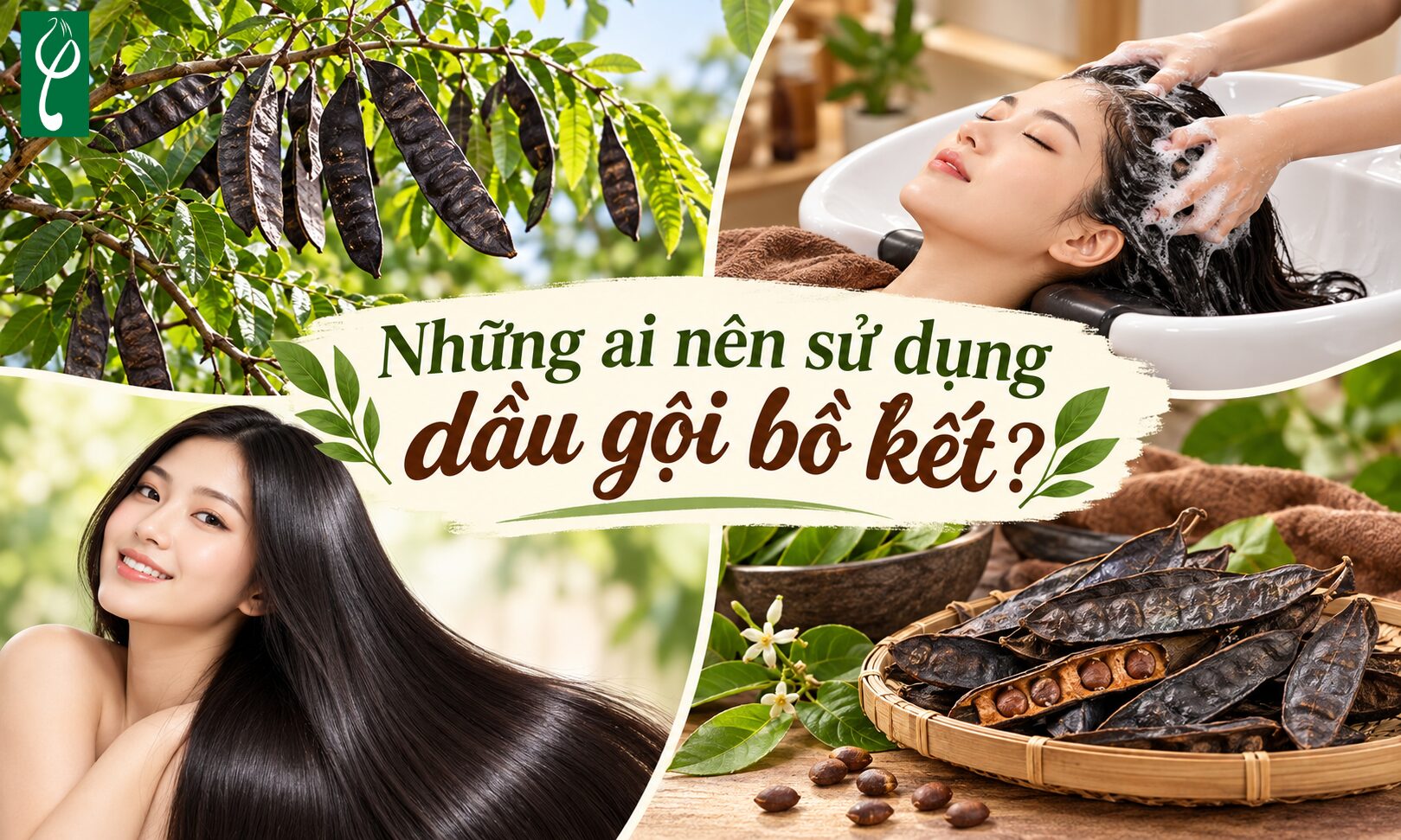 Những ai nên sử dụng dầu gội bồ kết?