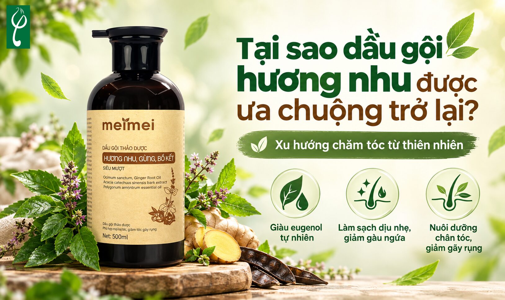 Tại sao dầu gội hương nhu lại được ưa chuộng trở lại? 